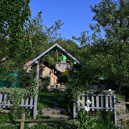 Himalayan Mud Resort Kasol Exterior foto